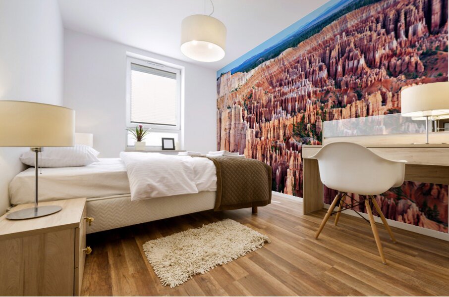 View from bryce point in bryce canyon national park Mural print