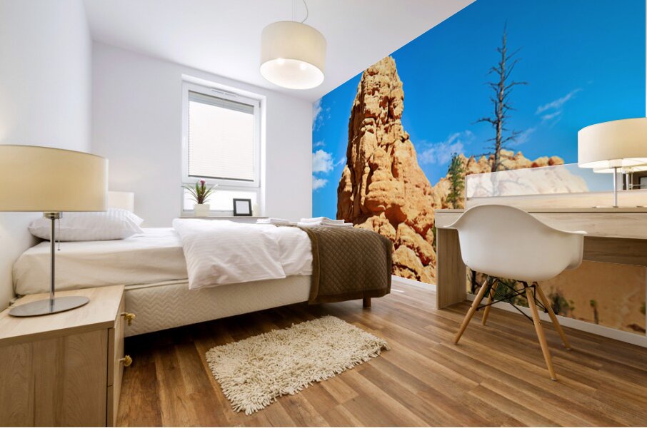 NP USA 00428 Mural print