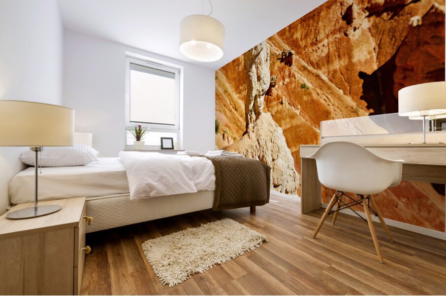 View of hoodoo rock at Inspiration Point in Bryce Canyon Park Mural print