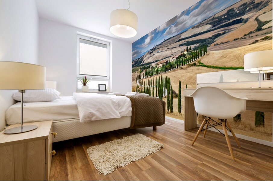 Cypress trees line winding road in Val dOrcia Tuscany Mural print