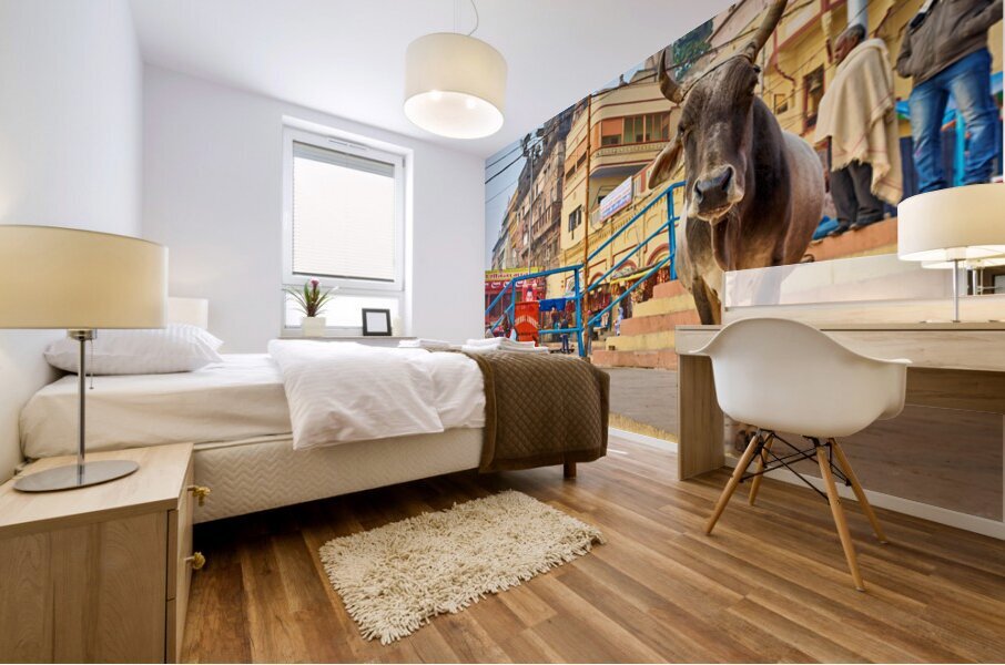 Sacred cow in Varanasi with people and shops in background Mural print