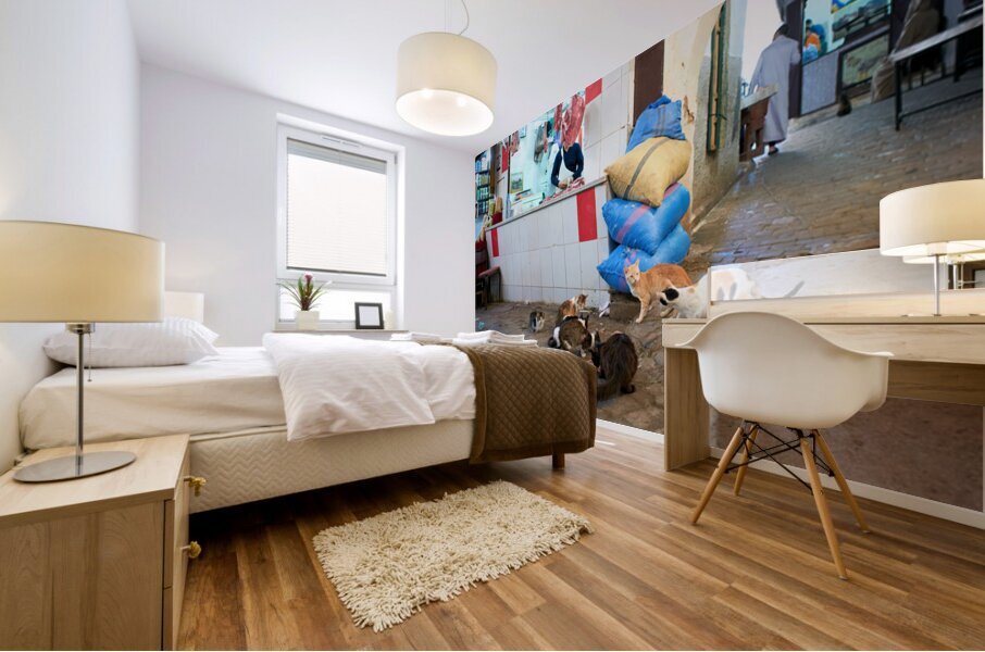 Stray cats gather near meat shop in Fez souk during daytime Mural print