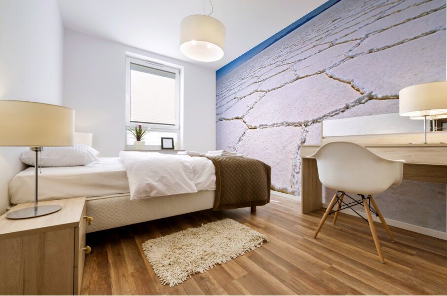 Expansive white salt flat with geometric patterns. Mural print