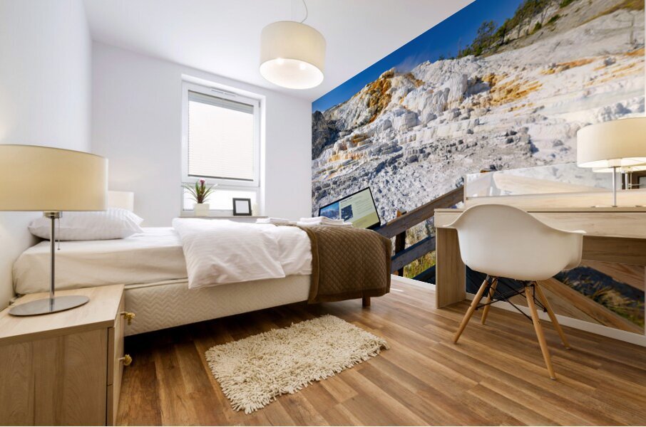 Visit to devils thumb in yellowstone national park Mural print