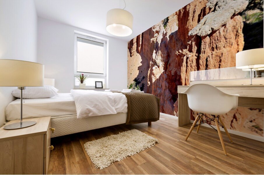 Bryce Point offers views of canyon rock formations Mural print