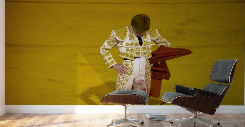 ANDALUSIA SPAIN. Bullfight in Seville Arena Wall Murals