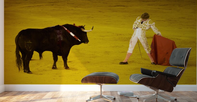 ANDALUSIA SPAIN. Bullfight in Seville Arena Wall Murals