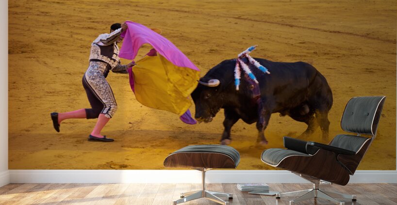 ANDALUSIA SPAIN. Bullfight in Seville Arena Wall Murals