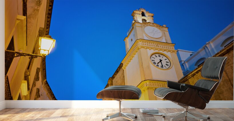 Salento. Apulia Puglia Italy. Gallipoli. The cathedral at night Wall Murals