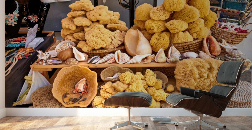 Salento. Apulia Puglia Italy. Gallipoli. Natural sea sponges Wall Murals