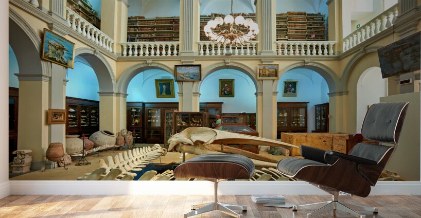 Salento. Apulia Puglia Italy. Gallipoli. Civic Museum Emanuele Barba Wall Murals