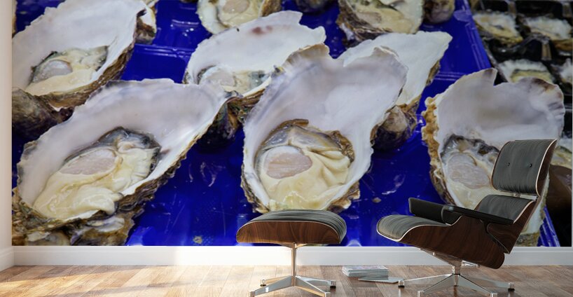 Freshly shucked oysters on blue plastic trays. Wall Murals