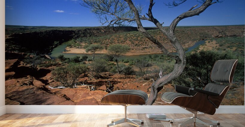 A gnarled tree overlooks a river in a vast canyon. Wall Murals