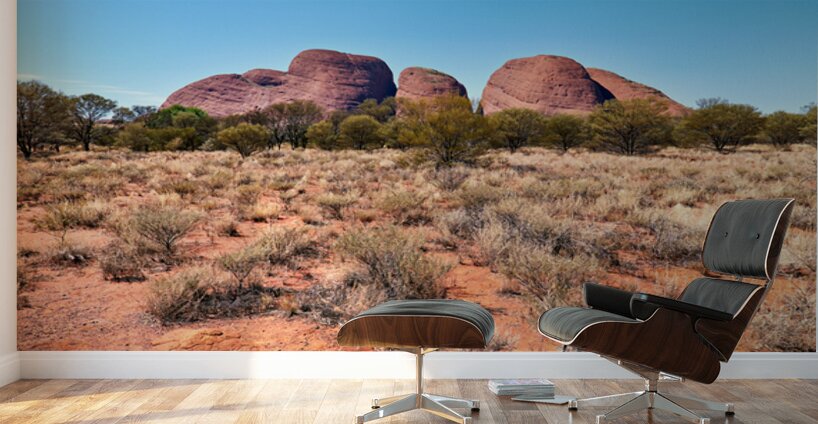 Visit Olgas in Kata Tjuta National Park Australia near Uluru Wall Murals