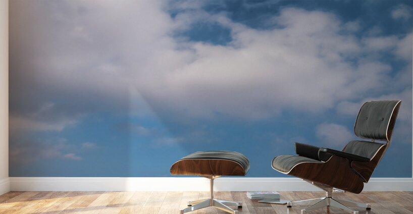 Schönbrunn Palace and gardens under a beautiful cloudy sky. Wall Murals