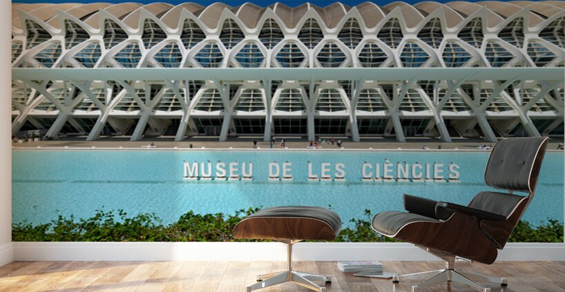 Visit Museu de les Sciences Principe Felipe in Valencia Spain Wall Murals