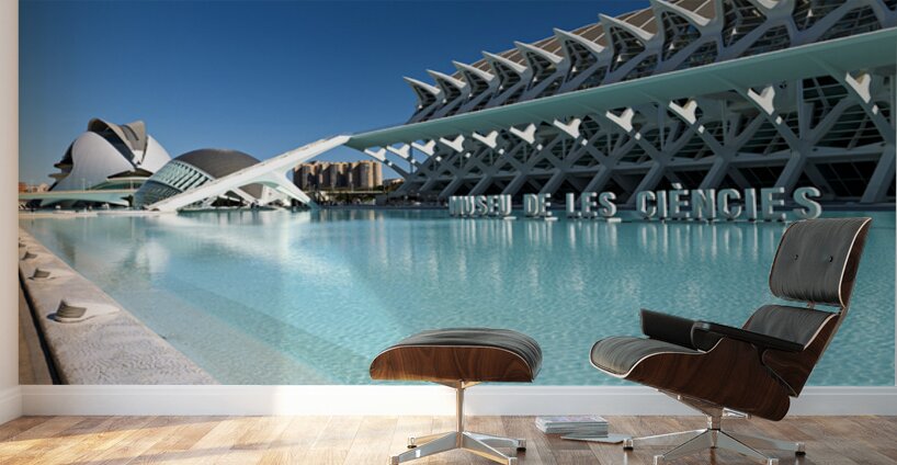 Visit to Museu de les Ciencies Principe Felipe in Valencia Spain Wall Murals