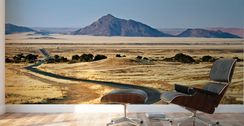 Driving through Namib Naukluft National Park towards Sossusvlei  Wall Murals