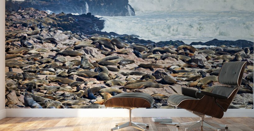 Cape fur seals resting on Skeleton Coast in Namibia near Cape Cr Wall Murals