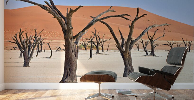 Dried camel thorn trees in Deadvlei pan in Namibia Wall Murals