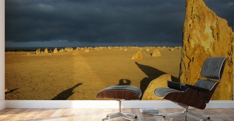Photographers shadow falls on the Pinnacles desert at sunset. Wall Murals