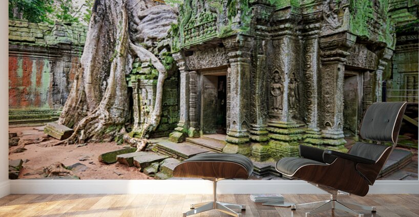 Ancient temple ruins overgrown by massive tree roots and moss. Wall Murals