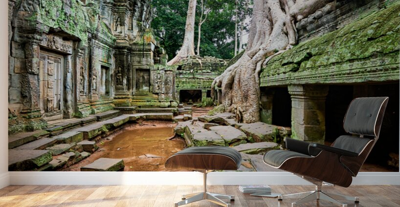Ancient temple ruins consumed by giant tree roots and jungle. Wall Murals