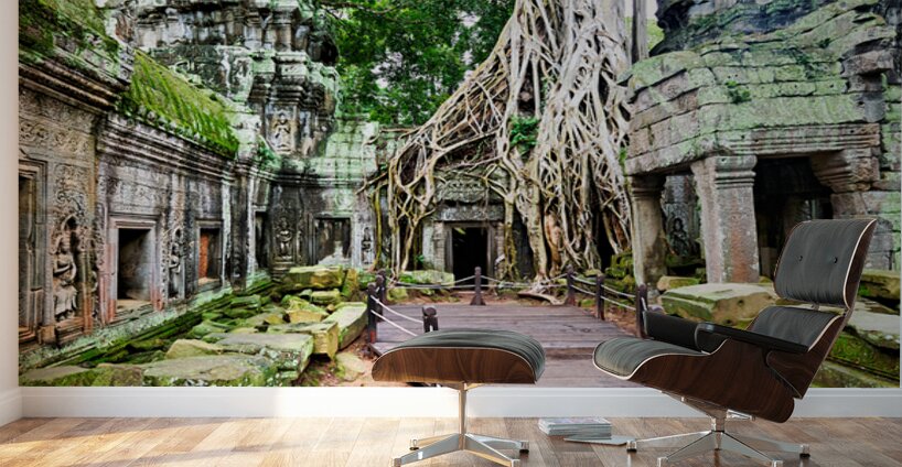 Massive tree roots engulf ancient temple ruins with moss. Wall Murals