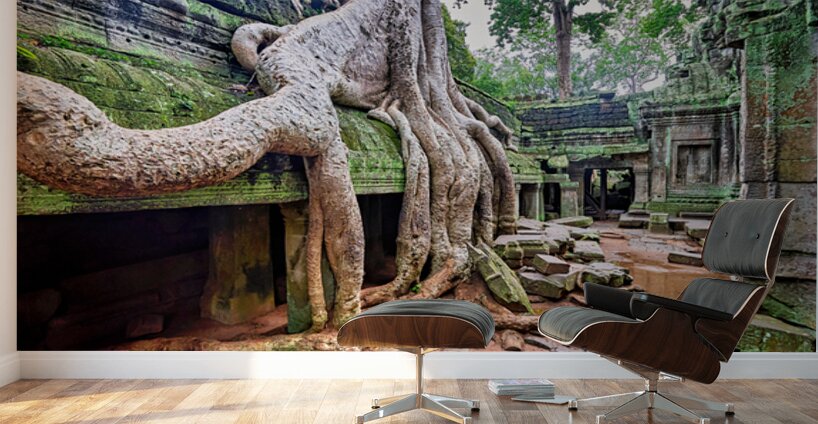Massive tree roots engulfing ancient moss covered temple ruins. Wall Murals