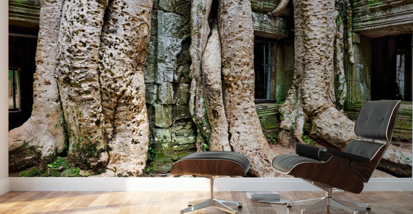 Giant tree roots engulf ancient temple ruins. Wall Murals