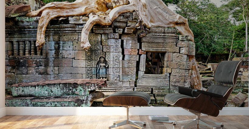 Massive tree roots engulf ancient stone temple ruins. Wall Murals
