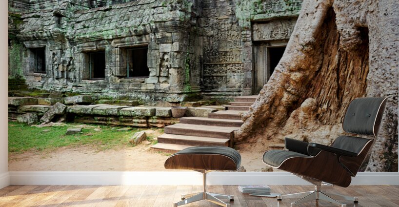 Ancient temple ruins intertwined with giant tree. Wall Murals