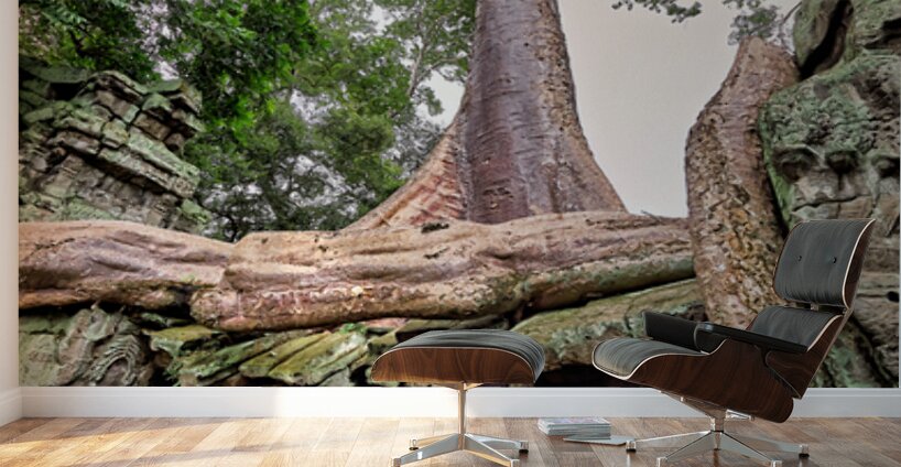 Giant tree roots engulf ancient temple ruins. Wall Murals