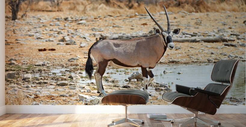 Gemsbok oryx drinking near water in Etosha National Park Namibi Wall Murals