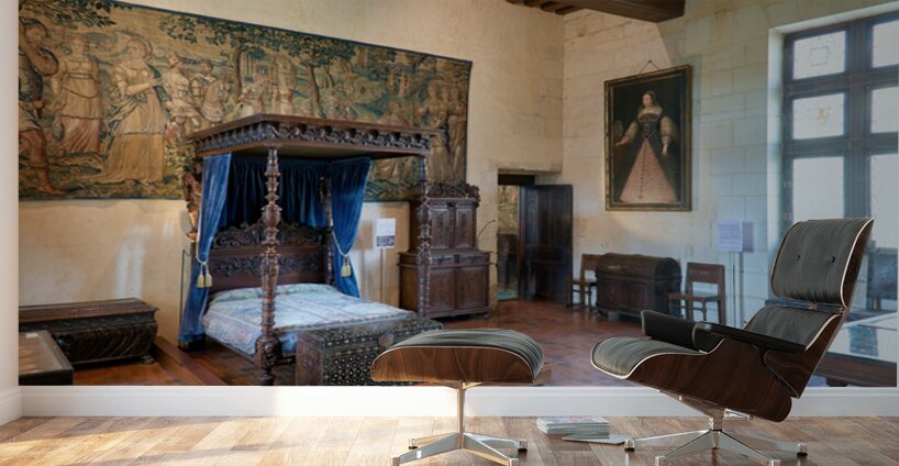 Exploring the interior of Chateau de Chaumont sur Loire in Franc Wall Murals