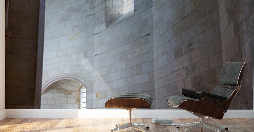 Chateau dAmboise offers views of historic architecture in Franc Wall Murals