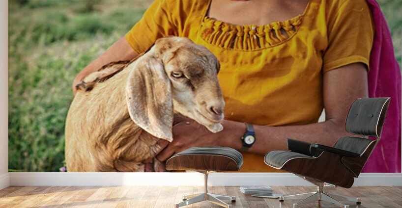 Girl holds goat in Khimsar Rajasthan India during sunny day Wall Murals
