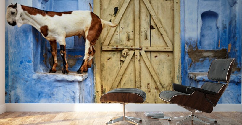 Goat standing on a wall by a wooden door in Bundi Rajasthan Wall Murals
