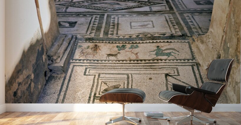 Mosaic floor in Pompeii reveals Roman art and ancient history Wall Murals