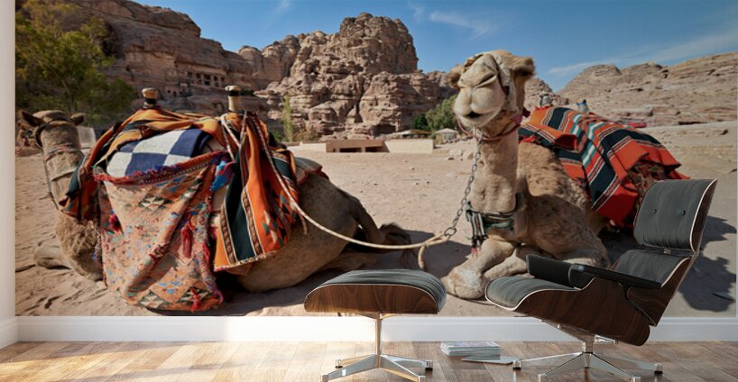 Tourists ride camels at Petra archaeological site in Jordan Wall Murals