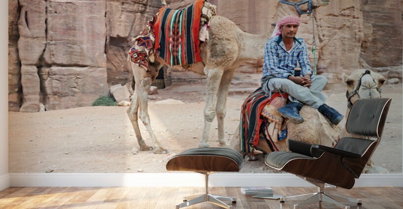Camels wait for tourists at Petra archaeological site in Jordan Wall Murals