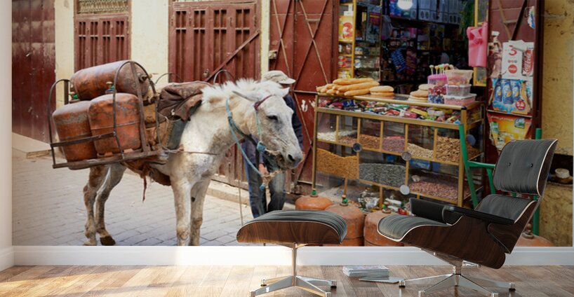 Donkey carrying gas cylinders through Fez Medina streets Wall Murals