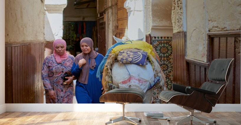 Women walking with donkey in narrow alley of Fez Medina Wall Murals
