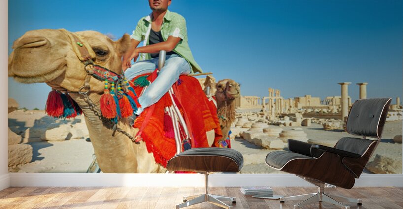 Camel driver in ancient Palmyra leading a tourist ride Wall Murals