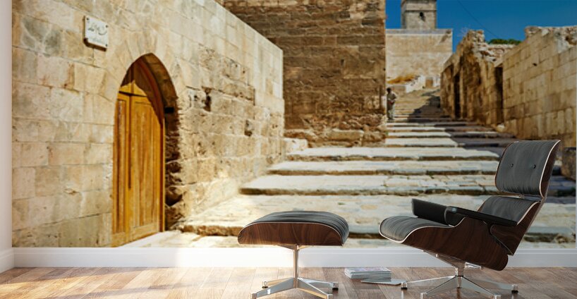 Explore the ancient paths leading up to Aleppo Citadel in Syria Wall Murals