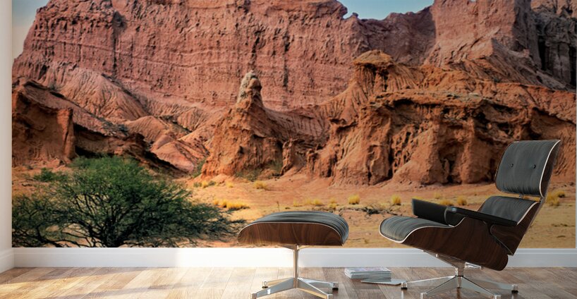 Eroded red rock formations in Quebrada de las Conchas near Cafay Wall Murals