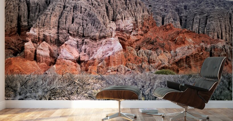 Colorful eroded rock formations in Quebrada de las Conchas Arge Wall Murals