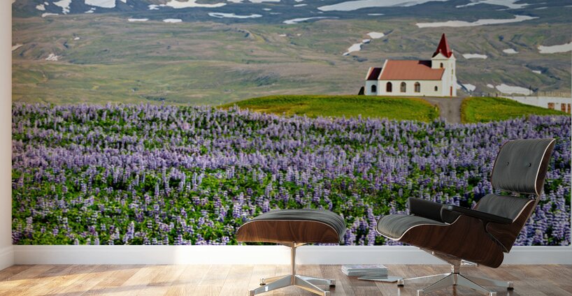 Ingjaldsoll church stands in a field of flowers in Iceland Wall Murals