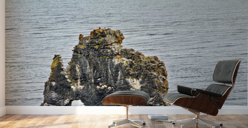 Hvitserkur rock formation in Iceland at low tide Wall Murals