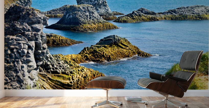Arnarstapi cliffs show rocky coastline in Iceland Wall Murals